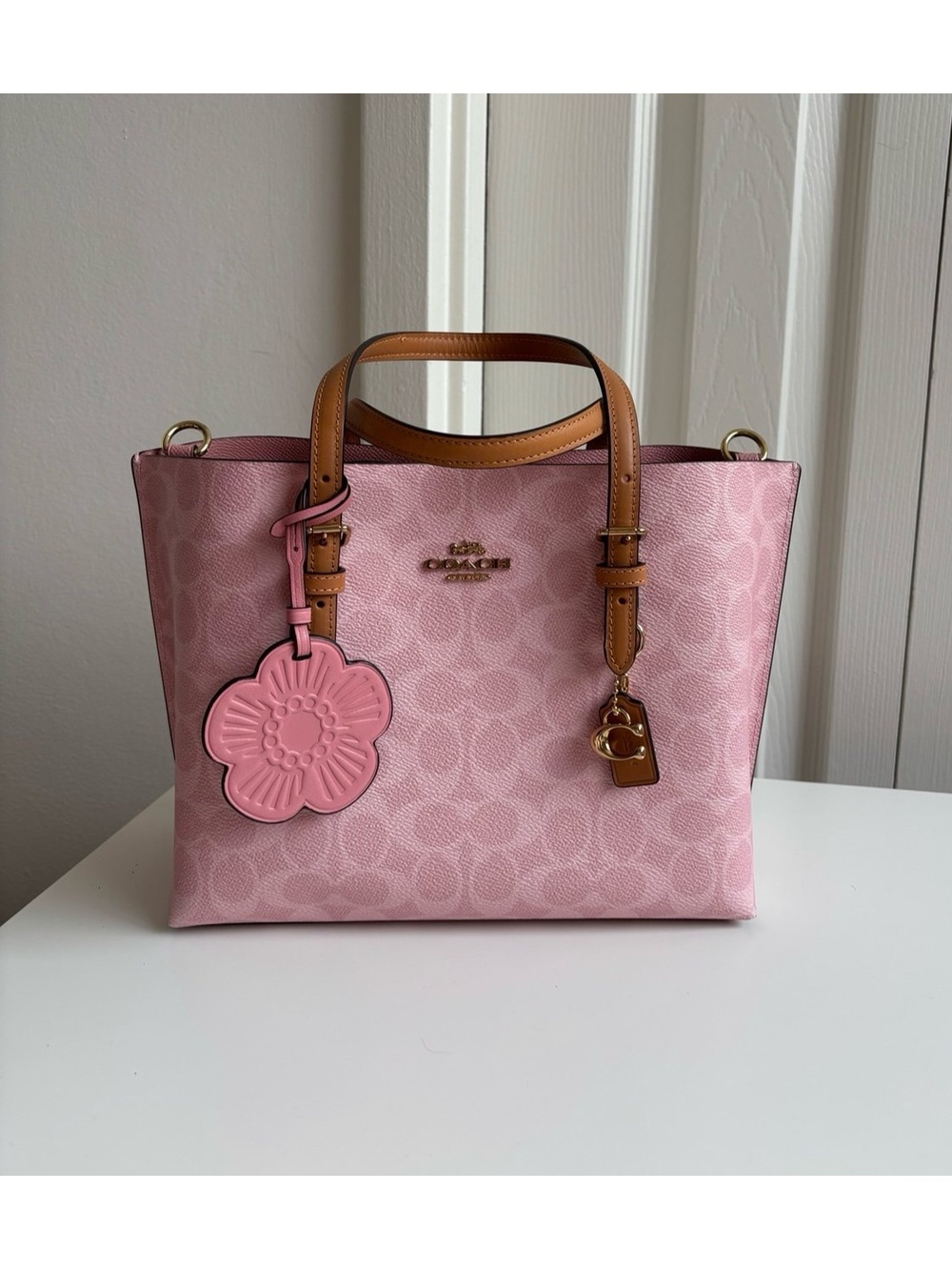 Coach Mollie Tote Bag